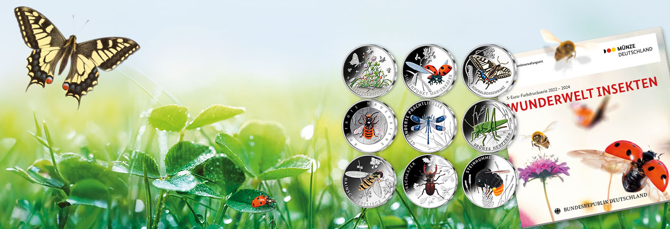 Illustration of colour print coins with green meadow and butterfly as background