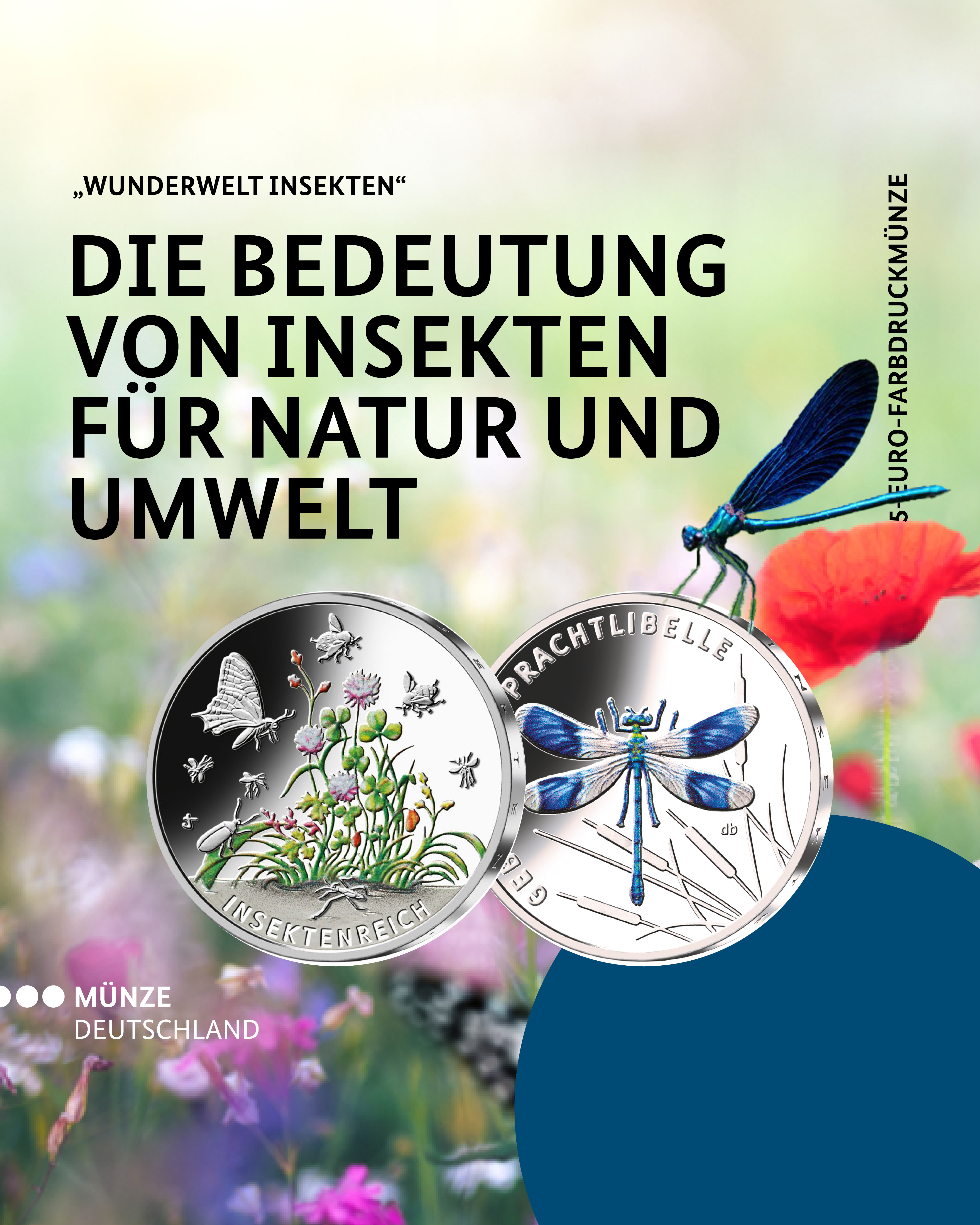 Die Bedeutung von Insekten für Natur und Umwelt