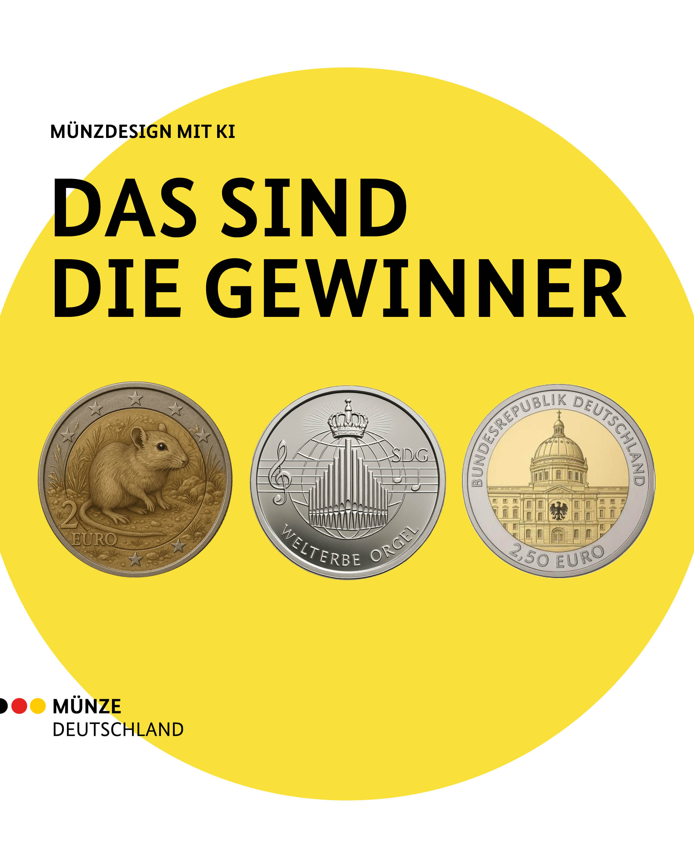 Das sind die Gewinner