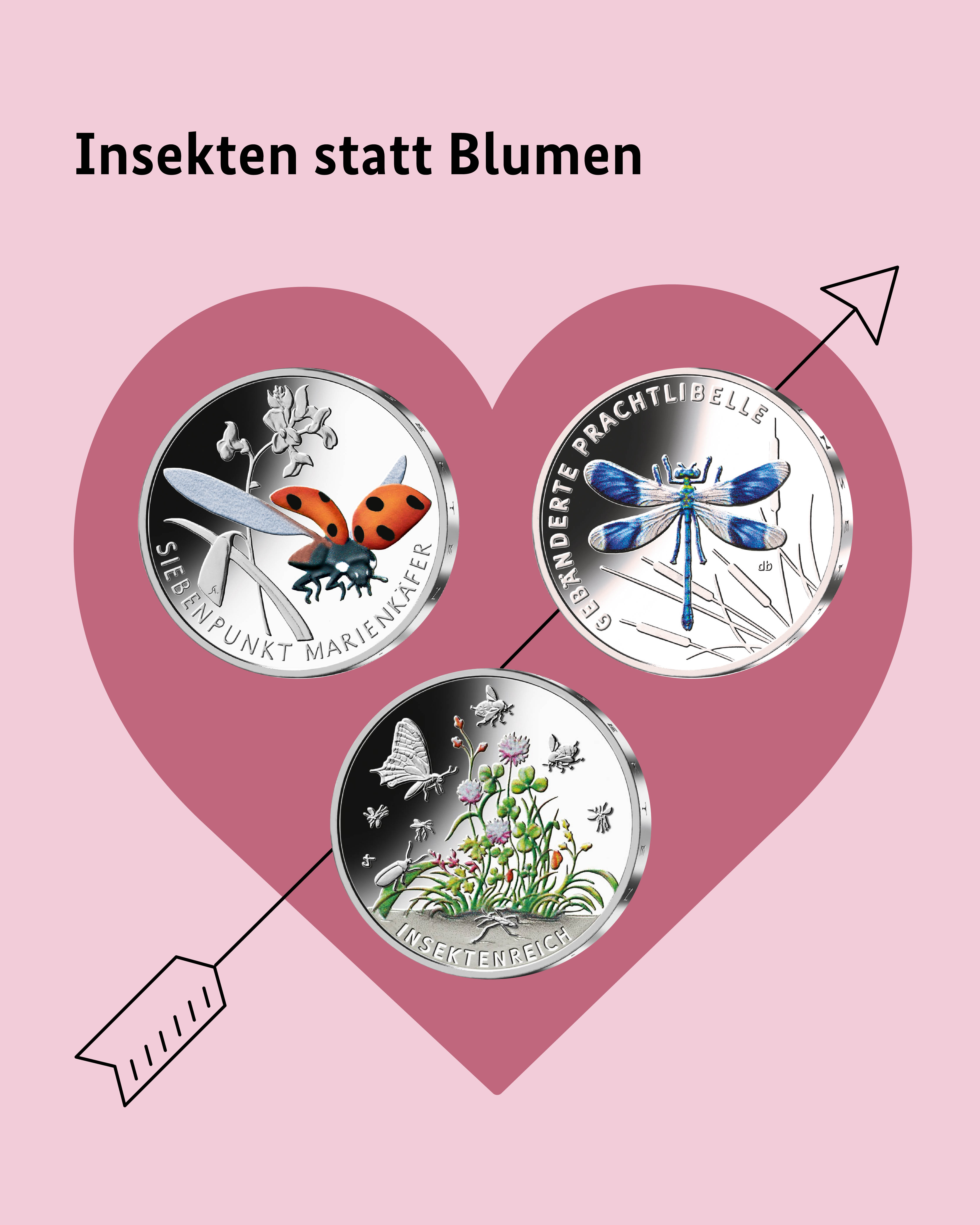 Insekten statt Blumen