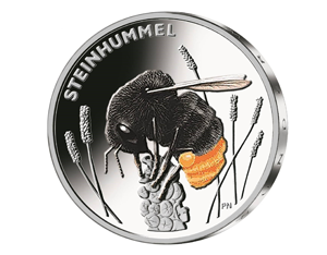 Serie „Wunderwelt Insekten“ Steinhummel