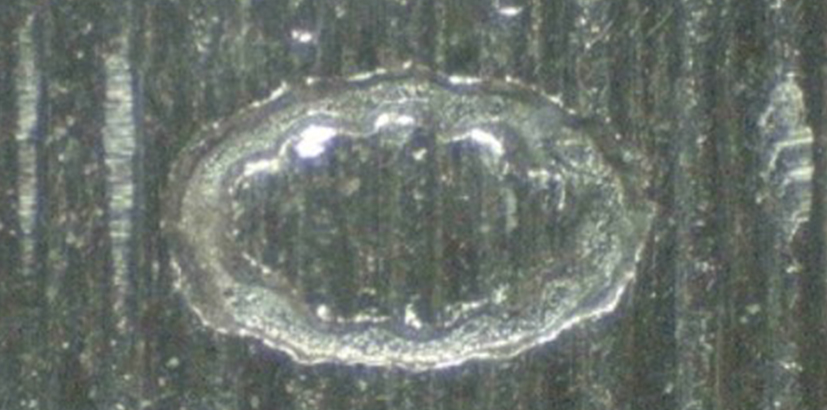Ovale Form im geriffelten Münzrand