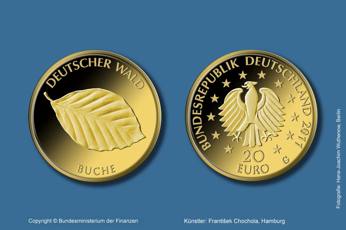 Download 20 euro gold coin 2011 "Buche" 