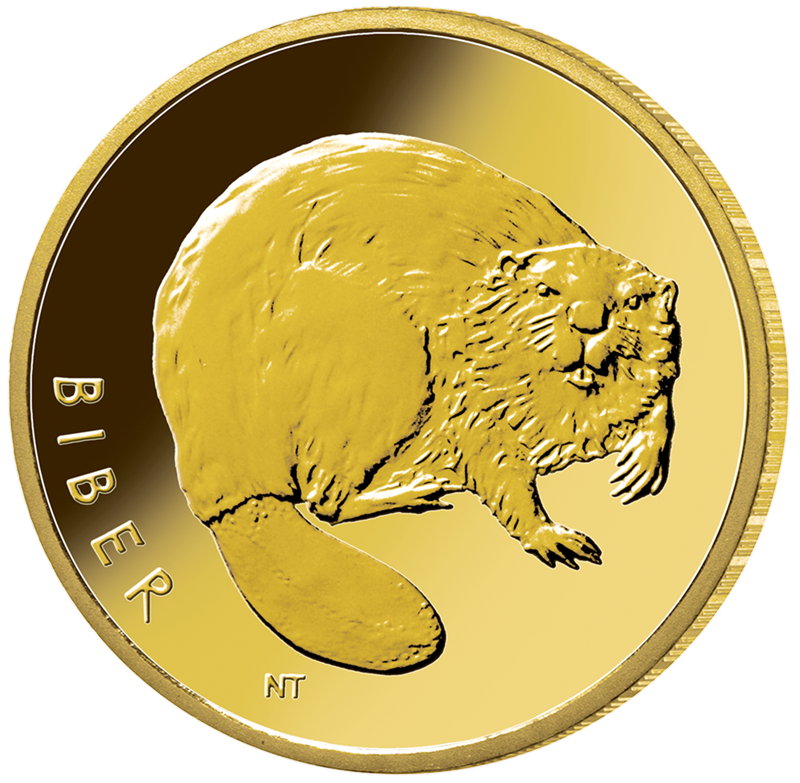 20-Euro-Goldmünze 2024 "Rückkehr der Wildtiere - Biber"                                              