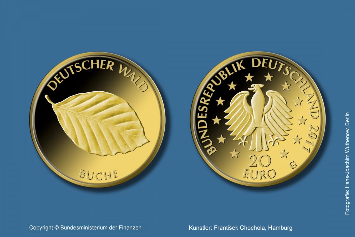 Download 20-Euro-Goldmünze 2011 "Buche" 