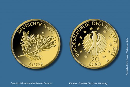 Download 20 euro gold coin 2013 "Kiefer" 