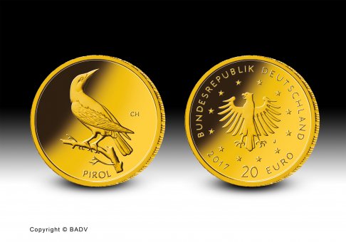Download 20 euro gold coin 2017 "Pirol" 