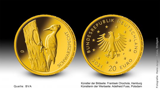Download 20-Euro-Goldmünze 2021 "Schwarzspecht" 