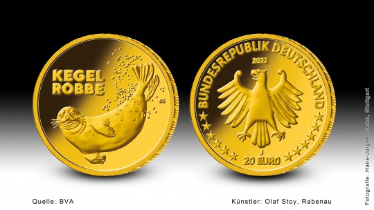 Download 20-Euro-Goldmünze 2022 "Kegelrobbe" 