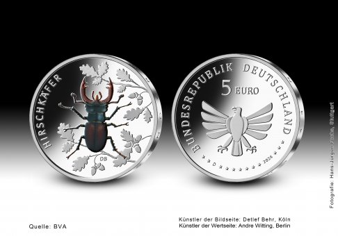 Download 5 euro collector coin 2024 "Hirschkäfer" 