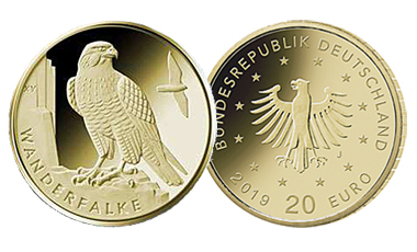 20-Euro-Goldmünze 2019 "Heimische Vögel - Wanderfalke" 