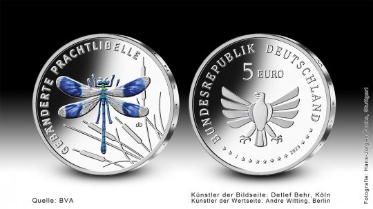 Download 5 euro collector coin 2023 "Prachtlibelle" 