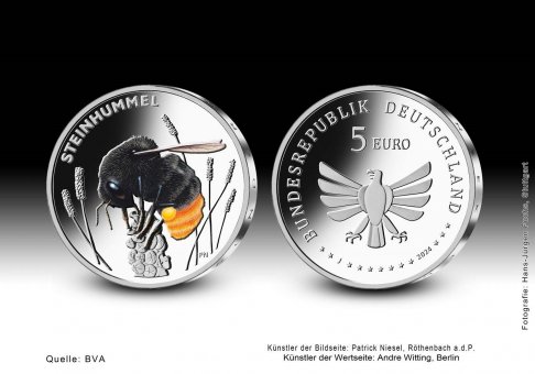 Download 5 euro collector coin 2024 "Steinhummel" 